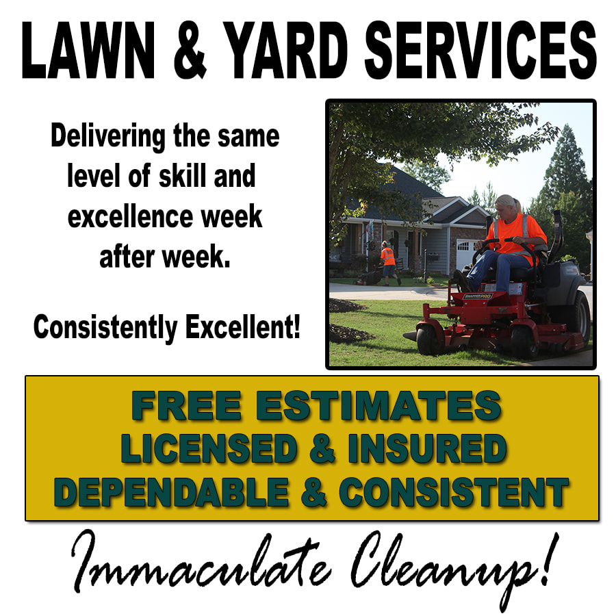Davids Complete Tree Lawn David S Complete Tree And Lawn Services Anderson Sc