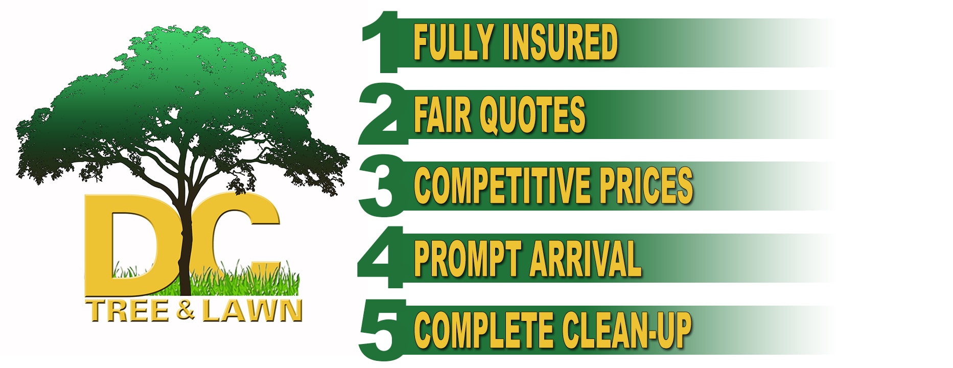Davids complete, davids complete tree service, davids complete lawn service, davids complete yard service, Anderson sc, tree care Anderson sc, lawn and yard care Anderson sc, david baker,  best tree care Anderson sc, tree removal, tree trimming, safe tree removal, tree specialist